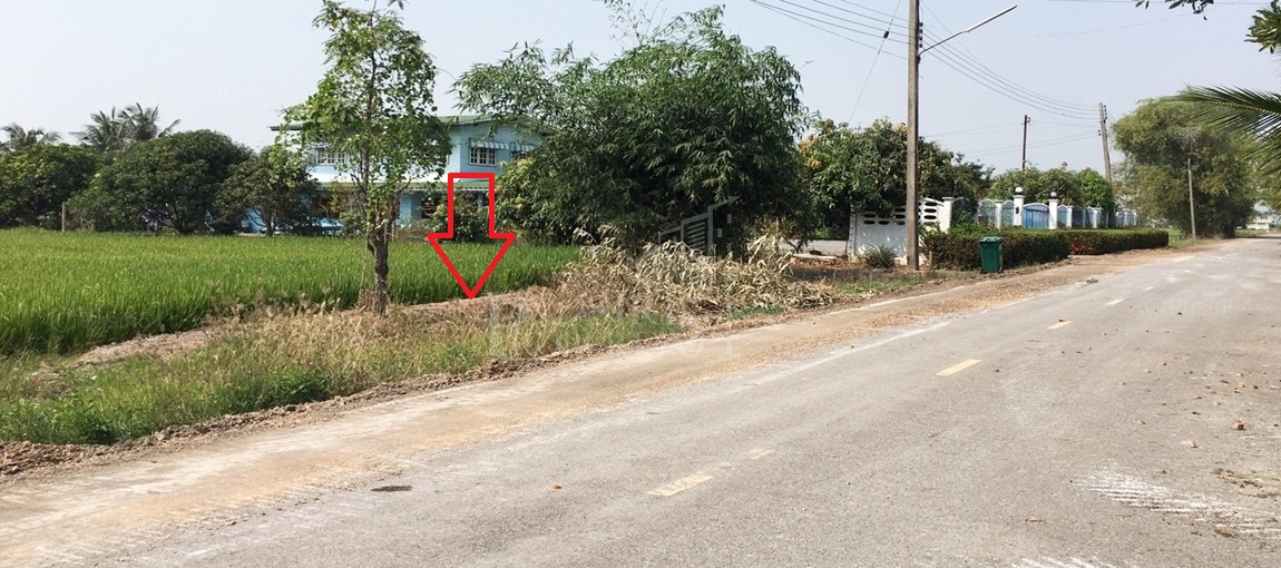 ที่ 14 ไร่เศษ ราคาโปรโมชั่น ติดถนนเลียบคลอง 4 ฝั่งตะวันออก ใกล้โรงเรียนวัดมงคลพุการาม  ขายที่ปทุมธานี